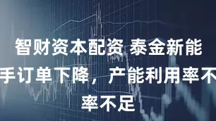 智财资本配资 泰金新能在手订单下降，产能利用率不足