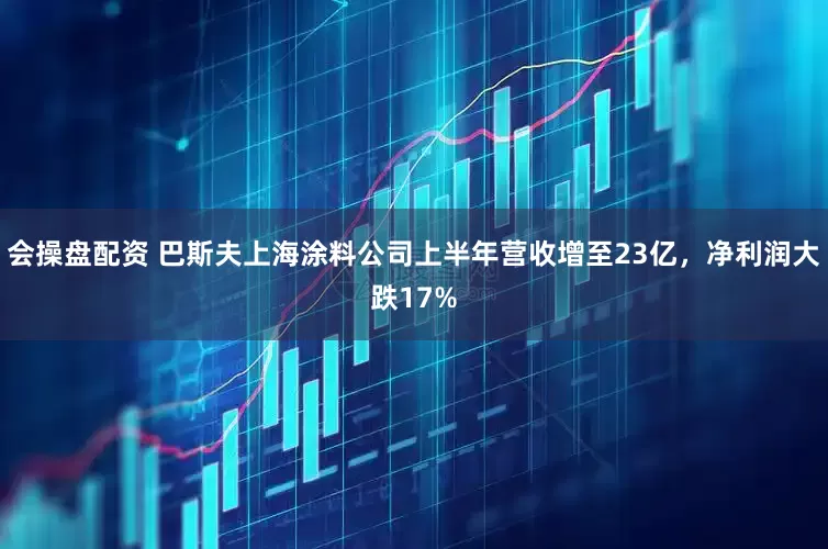 会操盘配资 巴斯夫上海涂料公司上半年营收增至23亿，净利润大跌17%