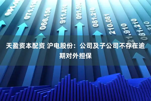 天盈资本配资 沪电股份：公司及子公司不存在逾期对外担保